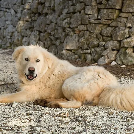 Masseria Iazzo Scagno Alloggio per agriturismo *