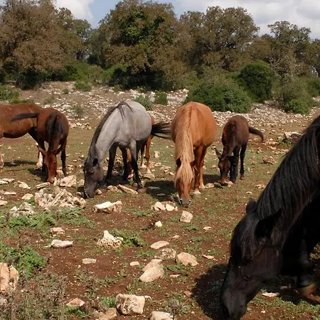 Alloggio per agriturismo Masseria Iazzo Scagno *