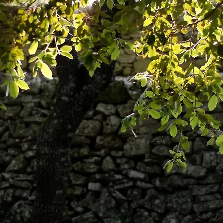 Masseria Iazzo Scagno Alloggio per agriturismo *