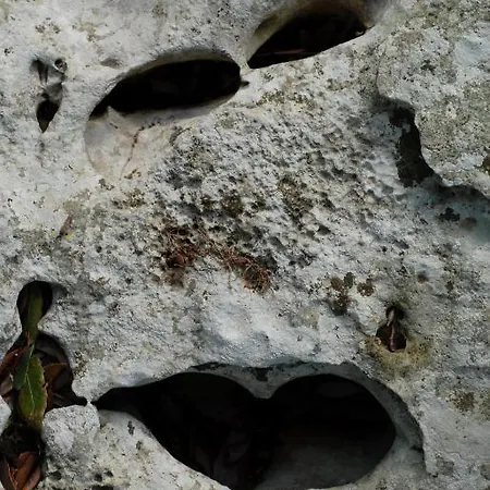 Masseria Iazzo Scagno Alloggio per agriturismo Martina Franca