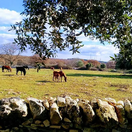 Masseria Iazzo Scagno * Martina Franca