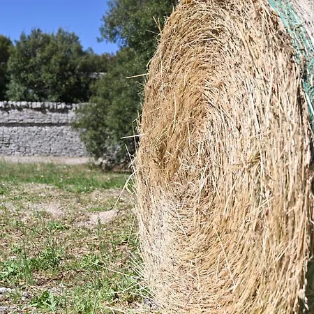 Masseria Iazzo Scagno * Martina Franca